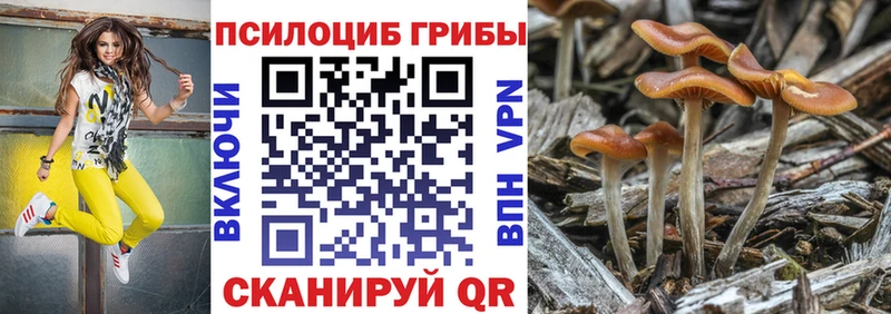 Галлюциногенные грибы Psilocybine cubensis  MEGA рабочий сайт  Кяхта 