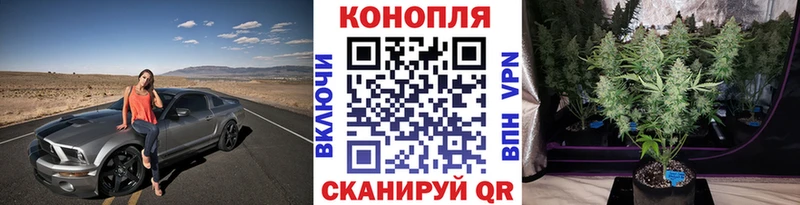 Канабис конопля  Кяхта 